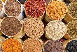 Bucket elevator dry fruits (4)